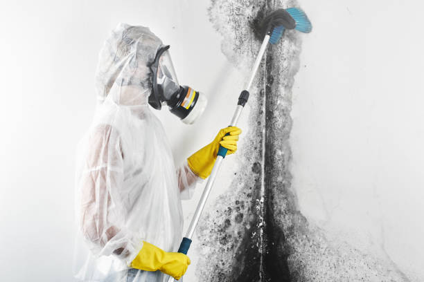 Best Dehumidification Services  in Lowellville, OH