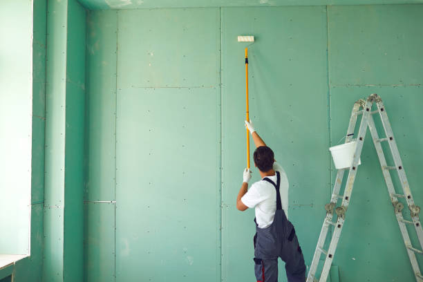 Best Mold Damage Restoration  in Lowellville, OH