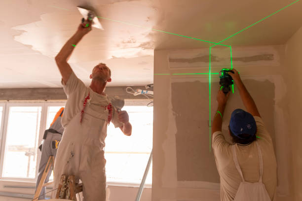 Best Water Damage & Mold Remediation  in Lowellville, OH