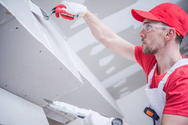 Mold Removal for HVAC Installations in Lowellville, OH